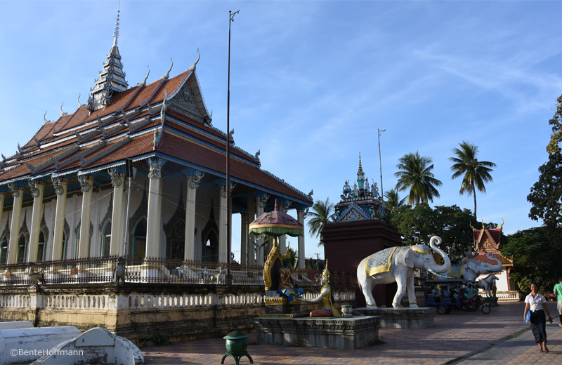 Wat Damrey Sar, der også huser det buddhistiske universitet i Battambang